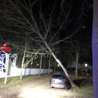 2020-02-10_baum.jpg