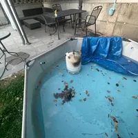 851200f6-821b-46f6-b751-010206f824e1.jpeg