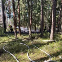 bild1.jpg