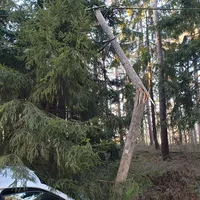 2020-03-02_vu.jpg