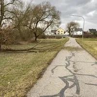 2022-017_baum_auf_fahrbahn.jpg
